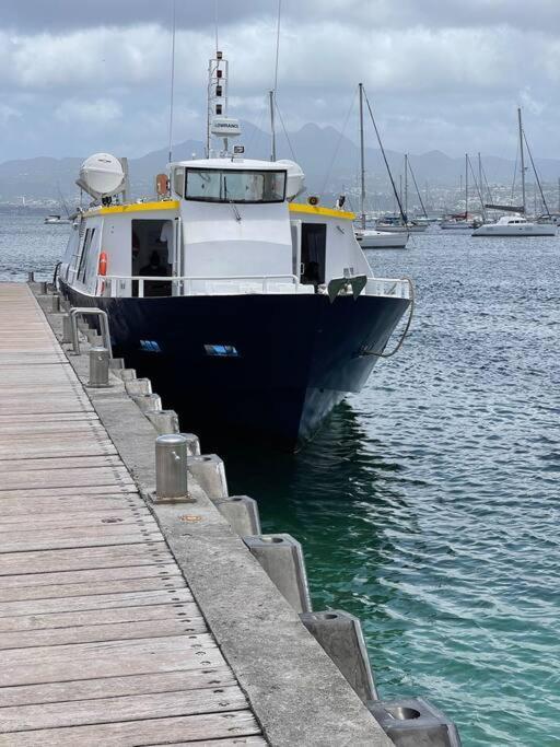 La Perle Ileenne, Vue Imprenable Sur La Mer. Les Trois-Ilets Exterior photo